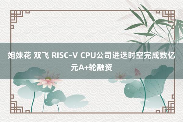 姐妹花 双飞 RISC-V CPU公司进迭时空完成数亿元A+轮融资
