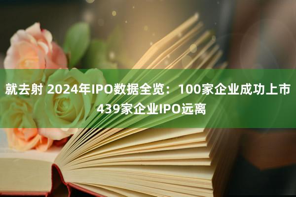 就去射 2024年IPO数据全览：100家企业成功上市  439家企业IPO远离