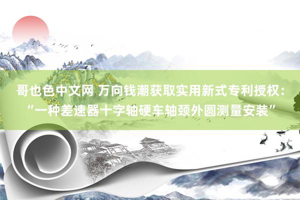 哥也色中文网 万向钱潮获取实用新式专利授权：“一种差速器十字轴硬车轴颈外圆测量安装”