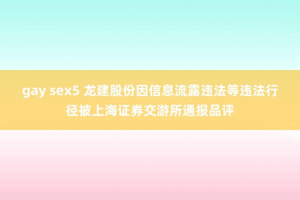 gay sex5 龙建股份因信息流露违法等违法行径被上海证券交游所通报品评