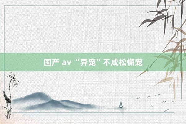 国产 av “异宠”不成松懈宠