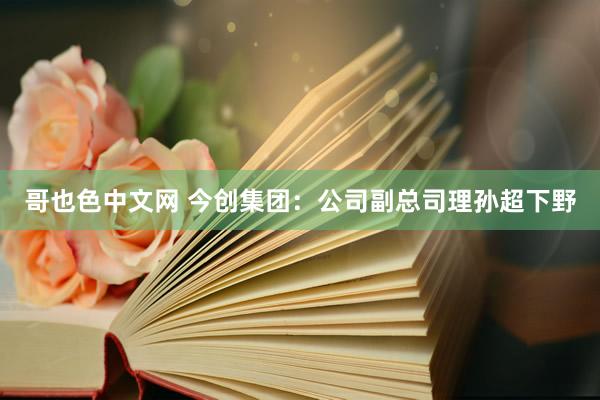 哥也色中文网 今创集团：公司副总司理孙超下野