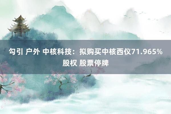 勾引 户外 中核科技：拟购买中核西仪71.965%股权 股票停牌