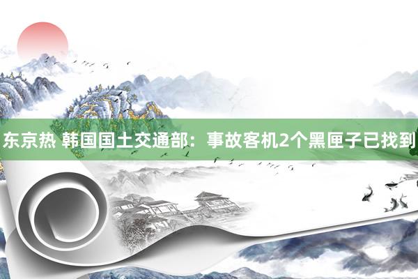 东京热 韩国国土交通部：事故客机2个黑匣子已找到