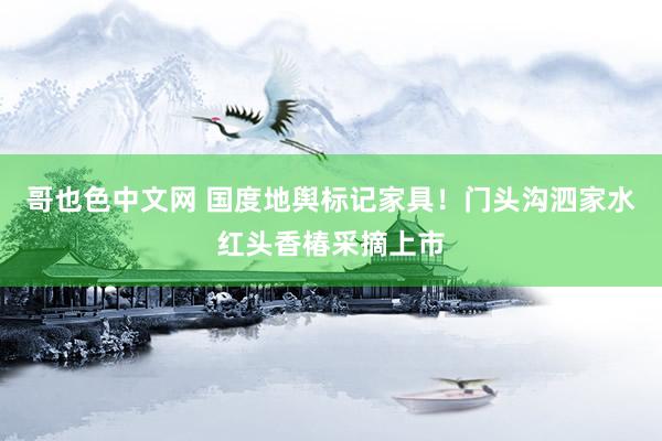 哥也色中文网 国度地舆标记家具！门头沟泗家水红头香椿采摘上市