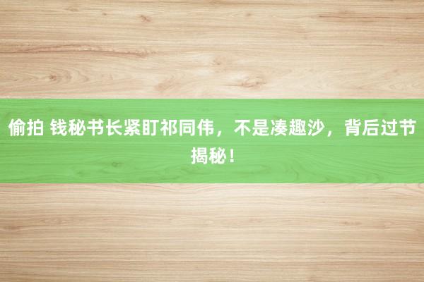 偷拍 钱秘书长紧盯祁同伟，不是凑趣沙，背后过节揭秘！