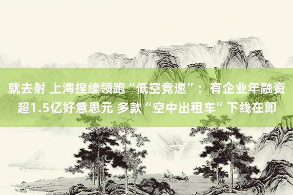 就去射 上海捏续领跑“低空竞速”：有企业年融资超1.5亿好意思元 多款“空中出租车”下线在即