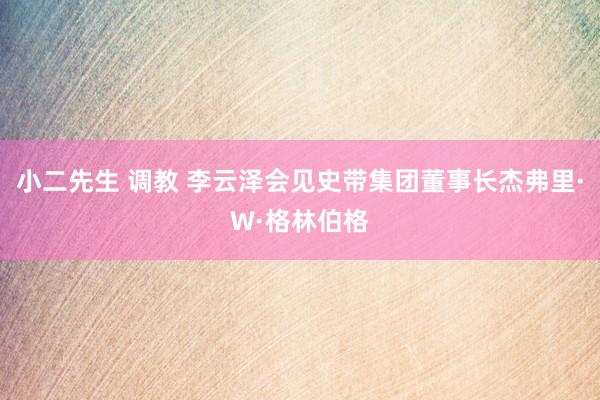 小二先生 调教 李云泽会见史带集团董事长杰弗里·W·格林伯格