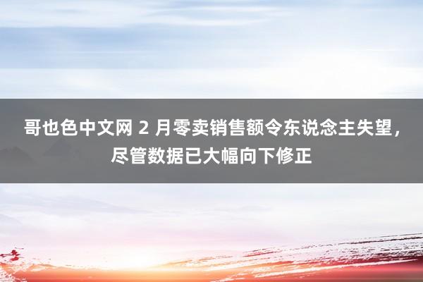 哥也色中文网 2 月零卖销售额令东说念主失望，尽管数据已大幅向下修正