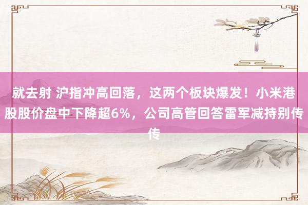 就去射 沪指冲高回落，这两个板块爆发！小米港股股价盘中下降超6%，公司高管回答雷军减持别传