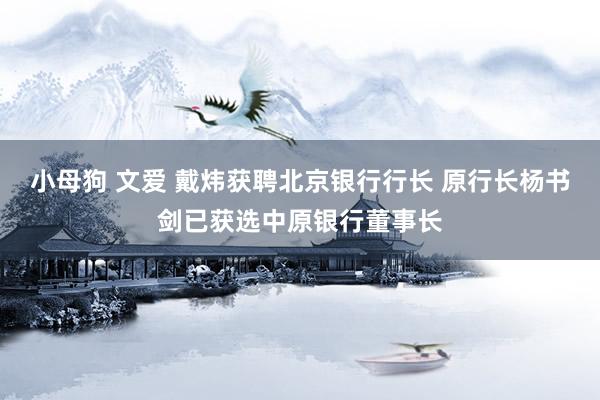 小母狗 文爱 戴炜获聘北京银行行长 原行长杨书剑已获选中原银行董事长
