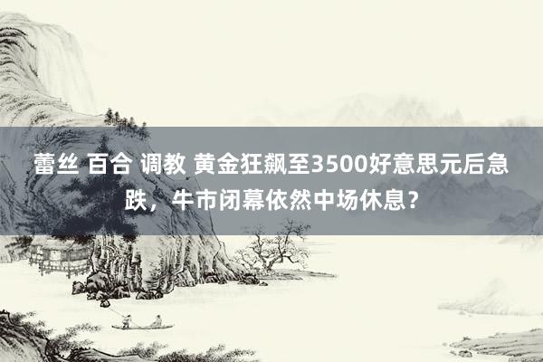 蕾丝 百合 调教 黄金狂飙至3500好意思元后急跌，牛市闭幕依然中场休息？