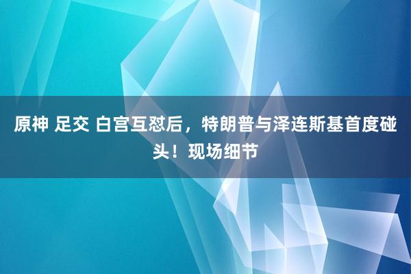 原神 足交 白宫互怼后，特朗普与泽连斯基首度碰头！现场细节