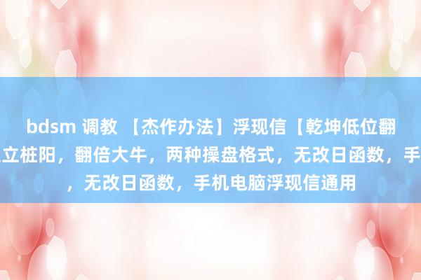 bdsm 调教 【杰作办法】浮现信【乾坤低位翻倍】办法，握低位立桩阳，翻倍大牛，两种操盘格式，无改日函数，手机电脑浮现信通用